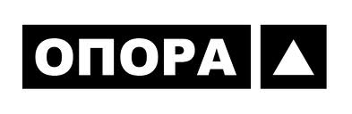 ОПОРА оприлюднила рейтинг порушень та порушників виборчого законодавства