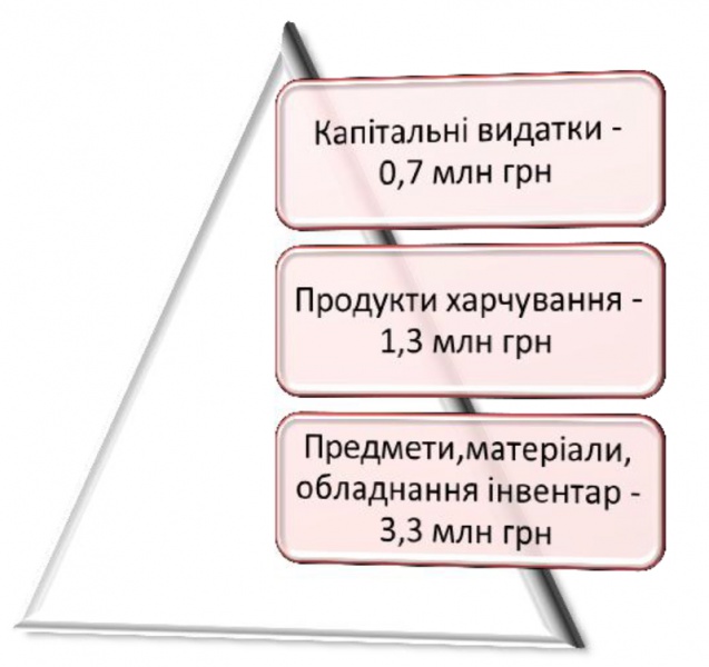 Благодійні внески як джерело додаткового фінансування