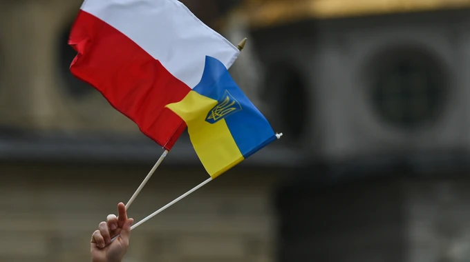 Опитування українських біженців у Польщі (серпень 2026)